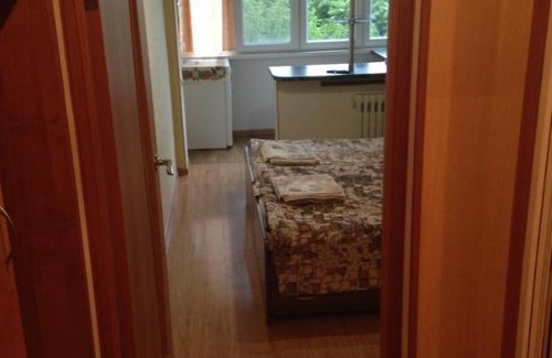 Zheleznovodsk Apartment | 5th
