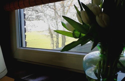 Municipality of Wormerland House | 6-10 pers family home in the country, 15km from Amsterdam