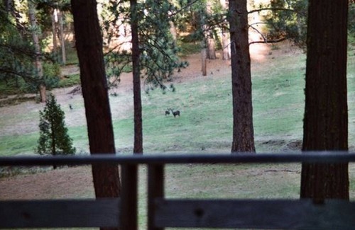 Groveland House | 6 Miles to Park Entrance! ~ 14 Acre Secluded Retreat ~ Wildlife Sanctuary