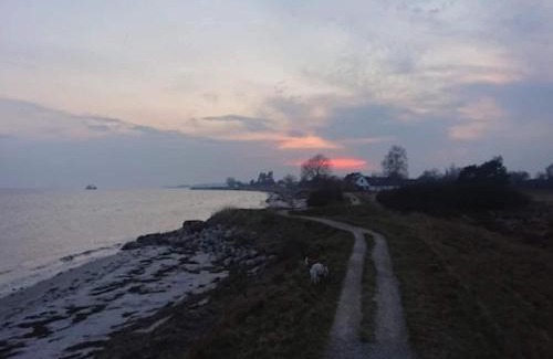 Bisserup House | 6 person holiday home in Rude
