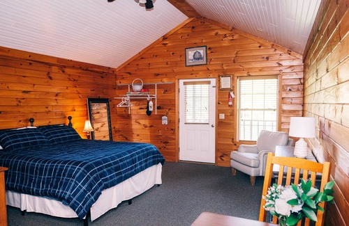 Blodgett Mills Cabin | 600 Sq. ft Cabin with King Size Bed - Quiet Location, Close to Skiing