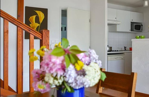 Montreal Apartment | 65 m² Apartment ∙ 2 bedrooms ∙ 8 guests