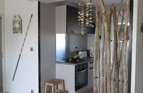 Frontignan Apartment | 65m² apartment in frontignan direct beach access on the beach