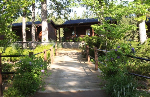 Tulsa Cabin | #7 Colorado Wildlife Cabin