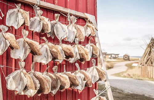 Nørre Lyngvig House | 7 person holiday home in Hvide Sande-By Traum