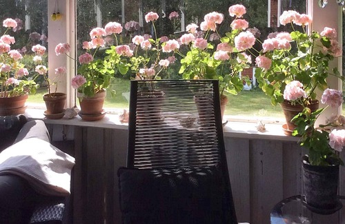 Nassjo Municipality House | 7 person holiday home in NÄSSJÖ