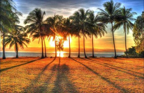 Port Douglas Apartment | 75 m² Apartment ∙ 1 bedroom ∙ 2 guests