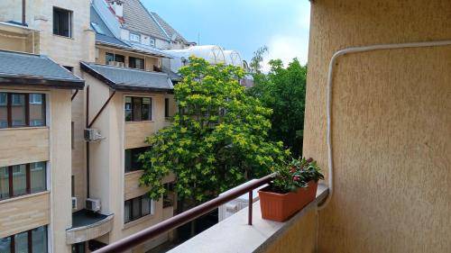Sofia Apartment | 80 m² Apartment ∙ 1 bedroom ∙ 4 guests