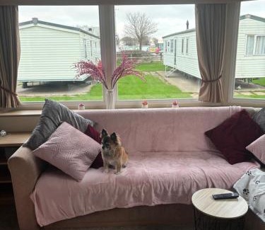 Mappleton Other | 83 southfield