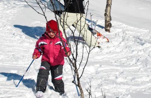 Lyngen House | 9 person holiday home in Lyngseidet