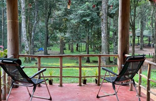 Lakkidi Resort | 900 Woods Wayanad Eco Resort - A Sprawling Jungle Stay near Glass Bridge
