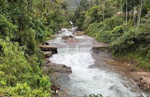 Lakkidi Resort | 900 Woods Wayanad Eco Resort - A Sprawling Jungle Stay near Glass Bridge