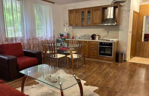 Pamporovo Apartment | Aпартамент за гости SKI DREAM Grand Monastery-Пампорово
