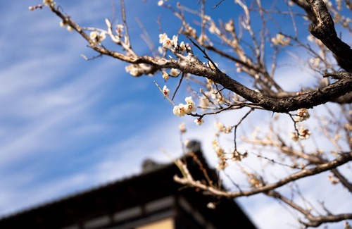 Kai House | A 10minute walk from Ryuo Station Kashi no Ie w - oak house/Kai Yamanashi