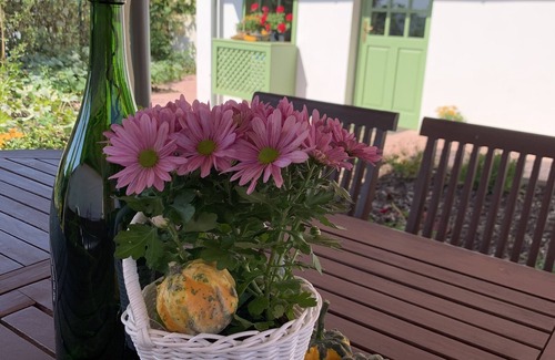 Pannonhalma Apartment | A 200-year-old cottage fully renovated near the 1000-year-old Pannonhalma Abbey