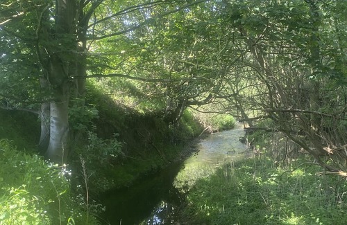 Bury St Edmunds Apartment | A country side retreat. And dog friendly!