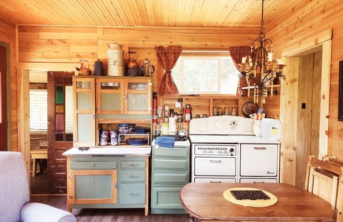 Hartsel Cabin | A Distant Paradise, 1-bedroom cabin in Fairplay