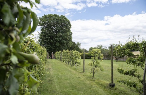 Chettle House | A former hotel set deep in the Dorset countryside in a small village