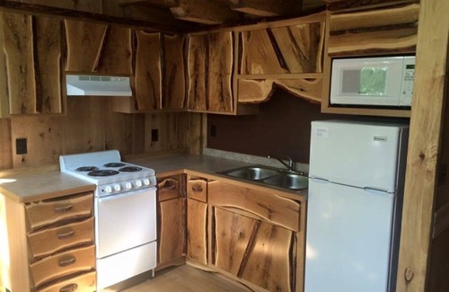 Morrison County Cabin | A Four Seasons Tree House With All Amenities Of A Home