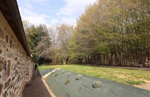 Bagnoles-de-l'Orne House | *♥️ A l'Orée du bois Normand-gîte 2 persons Bagnoles de l'Orne
