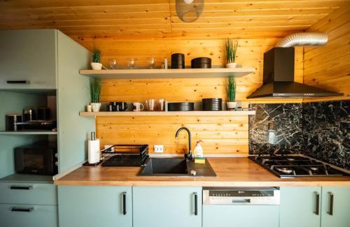 Sohodol Ski Chalet | A frame mountain view Sohodol