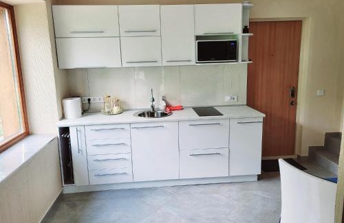 Telsiai county Apartment | A&G APARTAMENT WITH a TERRACE