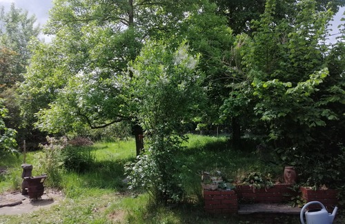 Arnage House | A green setting, 7km from the Circuit des 24h