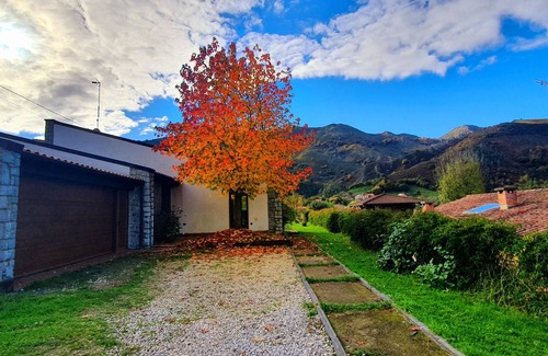 Llanes House | A house to disconnect from the routine and enjoy with your furry friends.