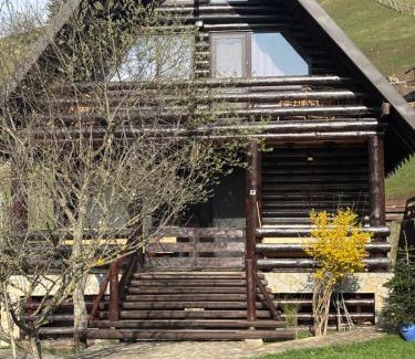 Dambovicioara Ski Chalet | A Hunter's Lodge