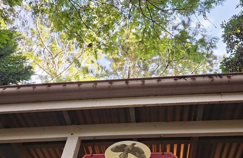 North Tamborine House | A luxury private cottage set in the heart of the beautiful Tamborine mountains.
