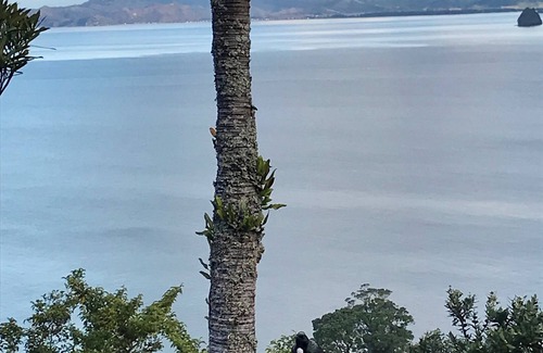 Tuateawa Cabin | A private, funky cabin surrounded by natures beauty with the best views in town.