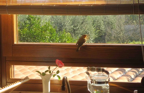 Velletri House | A quiet corner in the Roman countryside, among olive trees and vineyards.