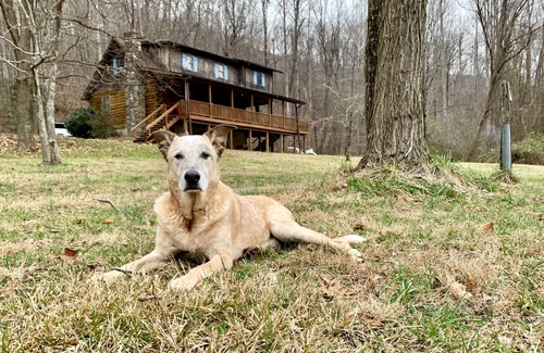 Saluda House | A sanctuary for river & mountain lovers alike