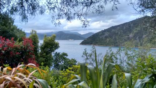 Whatamango Bay Bed & Breakfast | A Sea View B&B