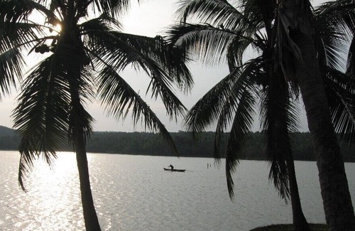 Venganoor Villa | A Very Very Special House, Villa Lake View, (with Pool) Kovalam