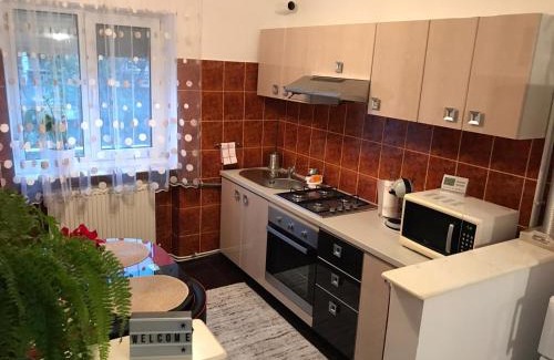 Emanoil Gojdu Apartment | A3M APARTMENT