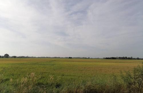 Kota Setar District House | Aaira Homestay d'Alor Setar