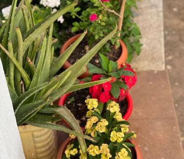 Nepalgunj House | Aanshi homestay