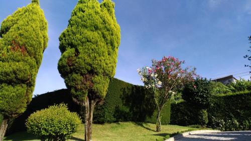Amarante House | AboimHouse