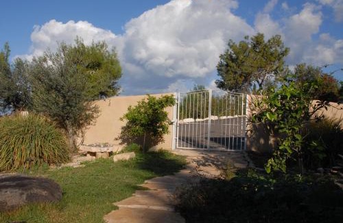 Ein Hod Cabin | Above the Sea