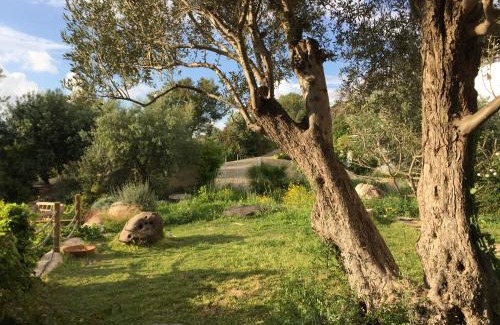 Ein Hod Cabin | Above the Sea