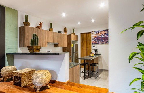 Roma Norte Apartment | AC/3 Terraces Oasis/3 BR Stunning Lux Apartmentnn