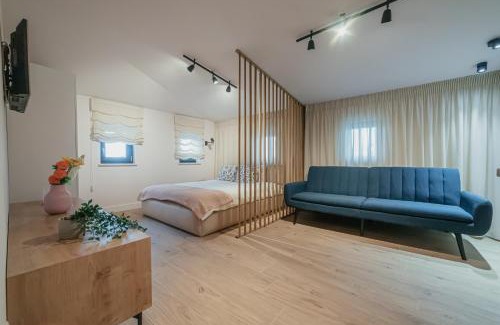 Focsani House | Academy Home