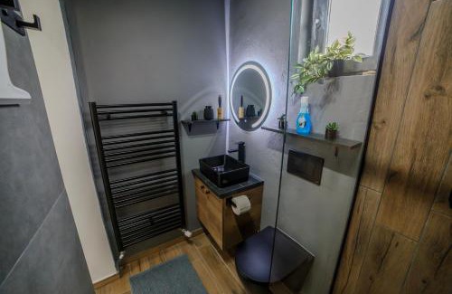 Turda House | AcAsA