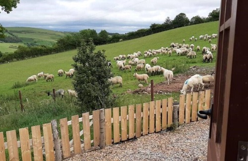 Newcastle-on-Clun Cabin | Accommodation