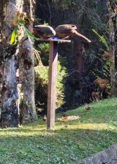 Vila Poran House | Aconchego na natureza