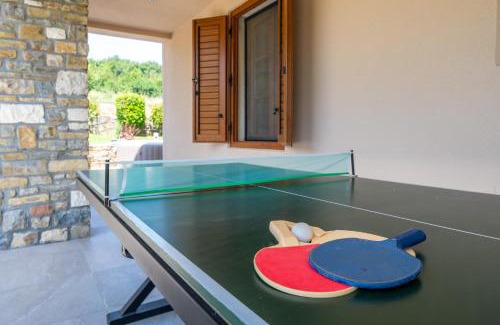 Purgarija Cepic Villa | Activity and familiy Villa Milena with heated pool