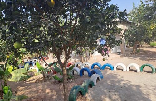 West Coast Division House | Adama Jarju's Horticultural Garden