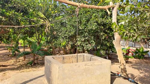 West Coast Division House | Adama Jarju's Horticultural Garden