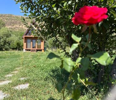 Vayots Dzor Province Villa | Address number 8